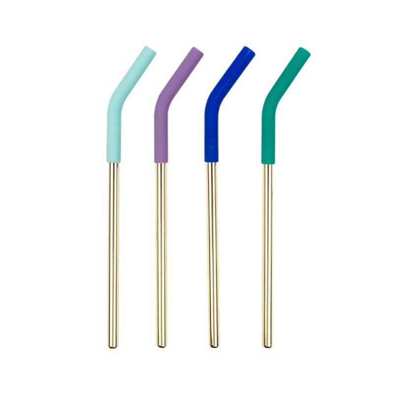 Silicone Tip Stainless Steel Reusable Straw