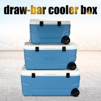 65L/100L/120L cooler box，incubator;